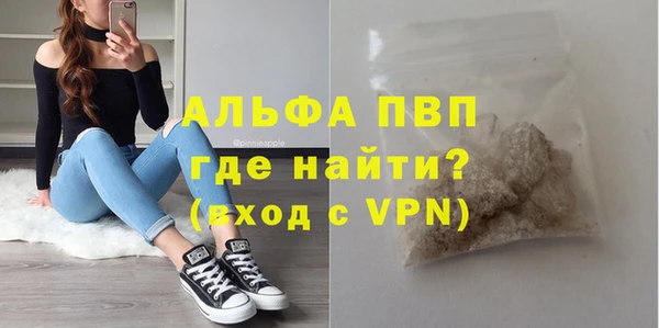 PSILOCYBIN Беломорск