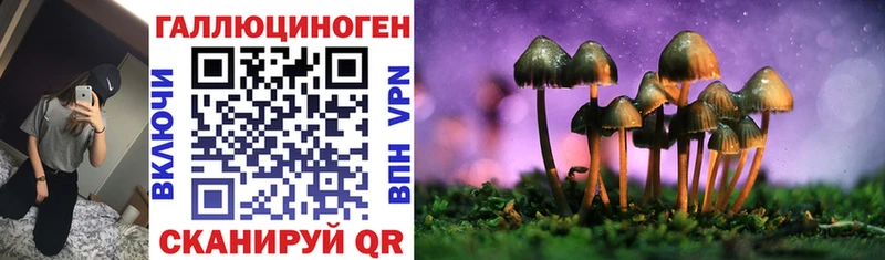 Галлюциногенные грибы мицелий  Вытегра 